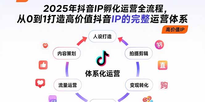 2025年抖音IP孵化运营全流程，从0到1打造高价值抖音IP的完整运营体系-小言网创资源站