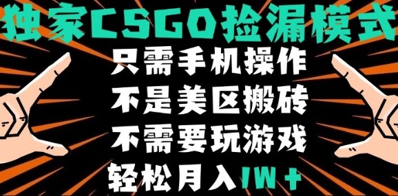 CSGO自动捡漏项目，最新独家玩法，不是美区搬砖，不需要了解和玩游戏，新手小白轻松月入1W+【揭秘】-小言网创资源站