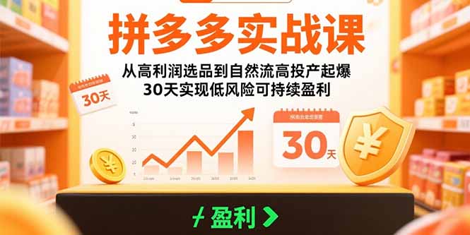 拼多多实战课：从高利润选品到自然流高投产起爆 30天实现低风险可持续盈利-小言网创资源站