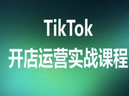 TikTok开店运营实战课程，TK跨境电商实操全流程-小言网创资源站