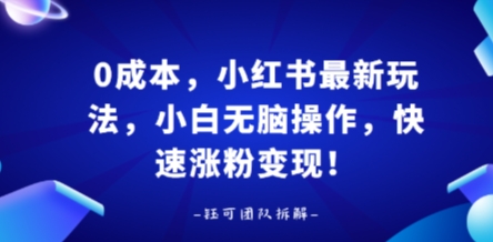 0成本，小红书最新玩法，小白无脑操作，快速涨粉变现-小言网创资源站