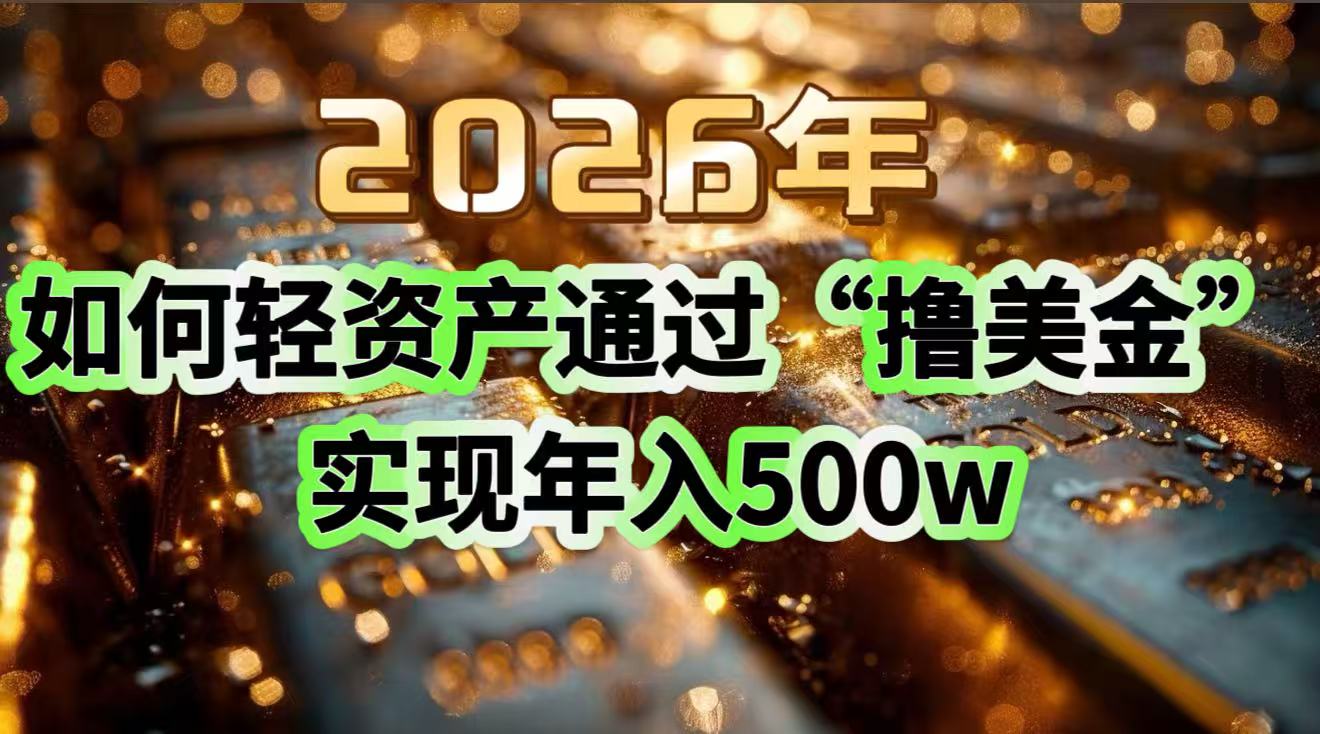 2026年如何轻资产通过“撸美金”实现年入500w-小言网创资源站