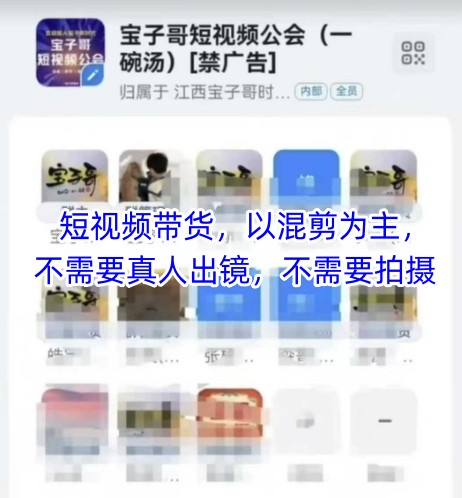 宝子哥头部团队短视频带货，以混剪为主，不需要真人出镜，不需要拍摄【更新8月】-小言网创资源站