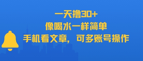 一天撸30+，像喝水一样简单，手机看文章，可多账号操作-小言网创资源站