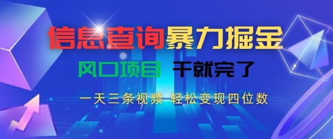 信息查询暴力掘金，一天三条视频，轻松变现四位数，风口项目干就完了【揭秘】-小言网创资源站