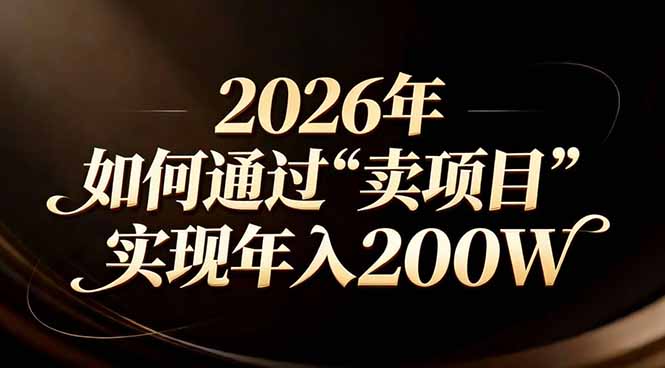 站在2026年的十字路口：一个普通人如何通过卖项目实现年入200万-小言网创资源站