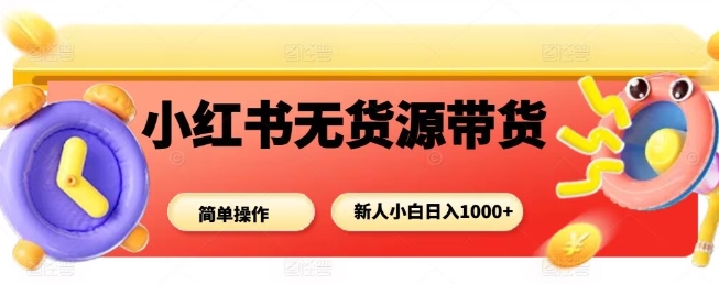 小红书无货源带货项目，简单无脑，新人小白日入多张-小言网创资源站
