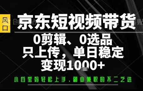 你出账号，我来运营，保底日入1k+，开启躺賺模式【揭秘】-小言网创资源站