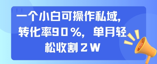 一个小白可操作私域，转化率90%，单月轻松收割2W-小言网创资源站