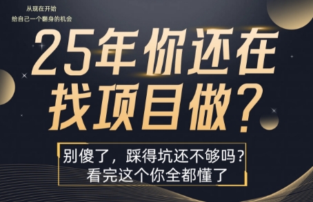 25年，你还在疯狂的找项目吗？别傻了，看完这个你都懂了【揭秘】-小言网创资源站