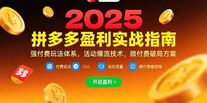 拼多多盈利实战指南，强付费玩法，活动爆流技术，微付费破局方案(更新7月-小言网创资源站