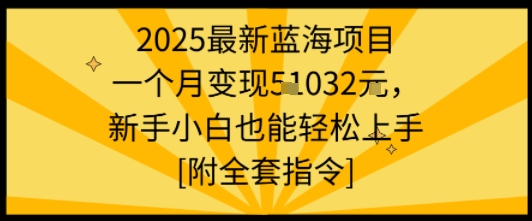 2025最新蓝海项目一个月变现1w+新手小白也能轻松上手【附全套指令】-小言网创资源站