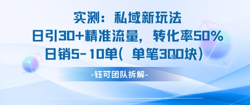 实测私域新玩法日引30加精准流量转化率50%日销5-10单每笔3张-小言网创资源站