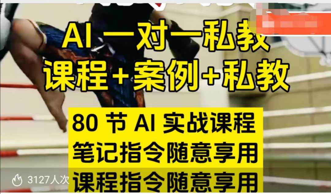 AI指令实战课，课程+案例，80节AI实战课程，笔记指令随意享用，课程指令随意享用(更新7月)-小言网创资源站