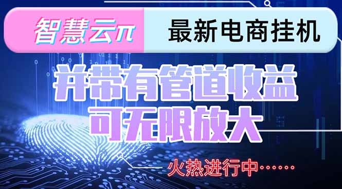 智慧云π电脑挂机单机每天收益300—500+ 并带有团队管道收益 可无限放大-小言网创资源站