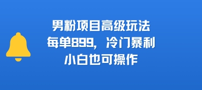 男粉项目高级玩法，每单899，冷门暴利，小白也可操作-小言网创资源站