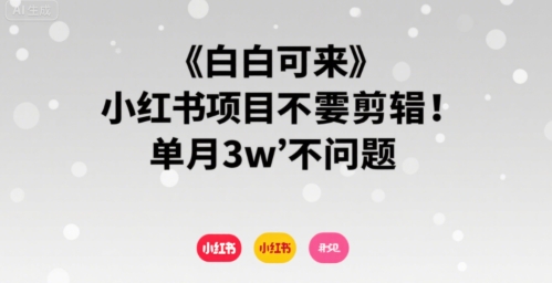 小白可来 小红书项目不需要剪辑 单月3w不是问题-小言网创资源站