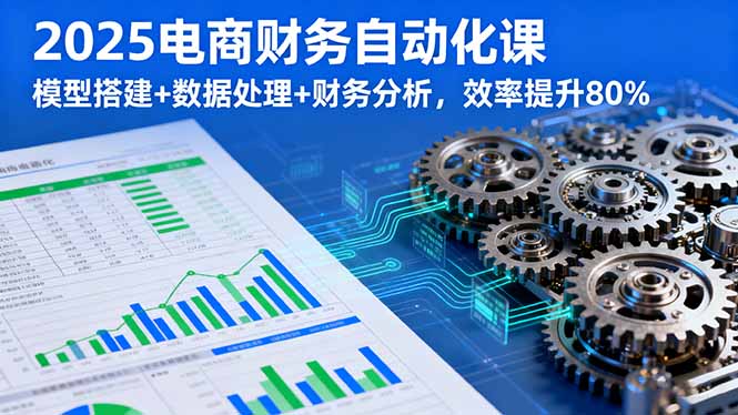 2025电商财务自动化课，模型搭建+数据处理+财务分析，效率提升80%-小言网创资源站
