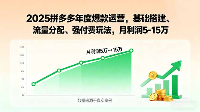 2025拼多多年度爆款运营，基础搭建、流量分配、强付费玩法，月利润5-15万-小言网创资源站