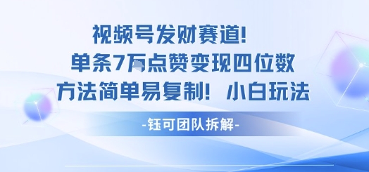视频号发财赛道单条7W点赞变现四位数方法简单易复制小白玩法-小言网创资源站