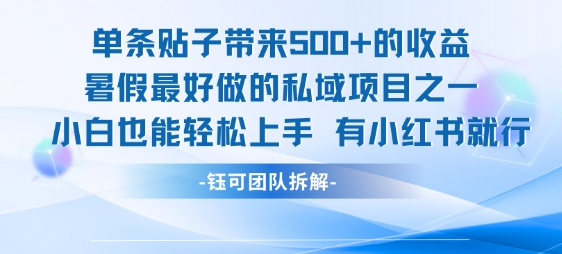 单条贴子带来5张的收益，暑假最好做的私域项目之一，小白也能轻松上手，有小红书就行-小言网创资源站