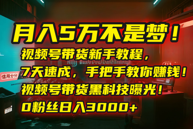 月入5万不是梦！视频号带货新手教程，7天速成，手把手教你赚钱！视频号…-小言网创资源站