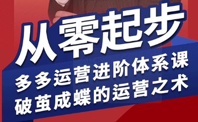 拼多多运营进阶系统课，从零起步，多多运营进阶体系课，破茧成蝶的运营之术(更新9月)-小言网创资源站
