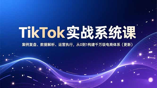 TikTok实战系统课，案例复盘、数据解析、运营执行，从0到1构建千万级电商体系(更新-小言网创资源站