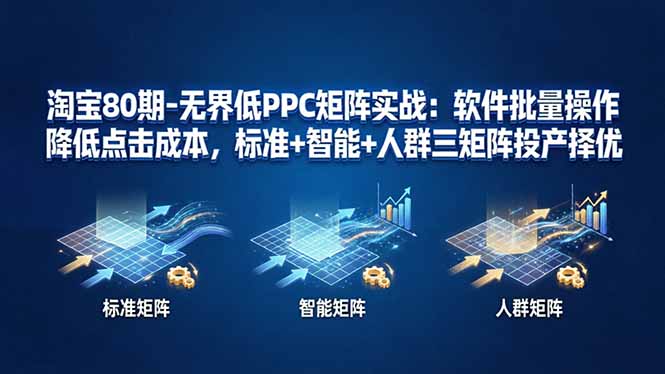 淘宝80期-无界低PPC矩阵实战：软件批量操作降低点击成本，标准+智能+人群三矩阵投产择优-小言网创资源站