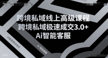 跨境私域线上高级课程，跨境私域极速成交3.0+Ai智能客服-小言网创资源站