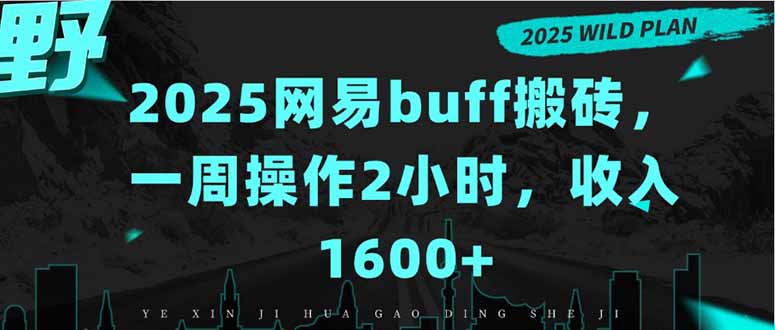 2025网易buff搬砖，一周操作2小时，收入1600+-小言网创资源站