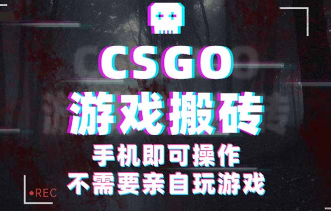 CSGO游戏挂机捡漏，单日扫货500+，年底小高峰上车可吃肉，手机即可操作…-小言网创资源站