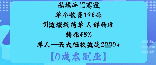 私域冷门赛道:单个收费198米引流模板简单人群精准转化45%单人一天大概收益是1k+-小言网创资源站