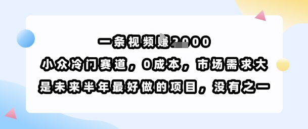 一条视频挣1k，小众冷门赛道，0成本，市场需求大，是未来半年最好做的项目，没有之一-小言网创资源站