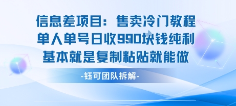 信息差项目：售卖冷门教程单人单号日收9张纯利基本就是复制粘贴就能做-小言网创资源站