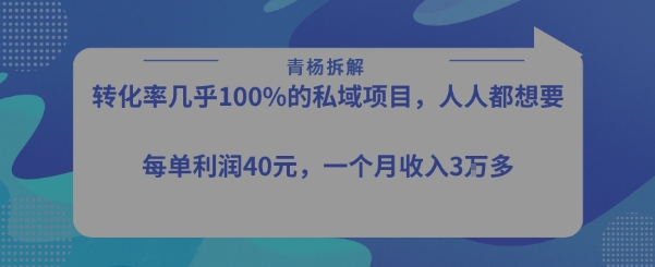 转化率最高的私域项目，每单利润40-50米，月入过1w-小言网创资源站