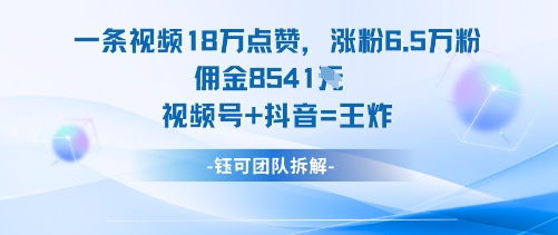 一条视频18W点赞，涨粉6.5W粉佣金8541米，视频号+抖音=王炸-小言网创资源站