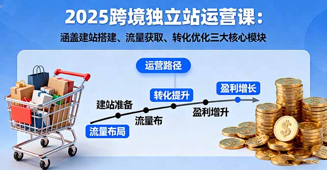 2025跨境独立站运营课：涵盖建站搭建、流量获取、转化优化三大核心模块-小言网创资源站
