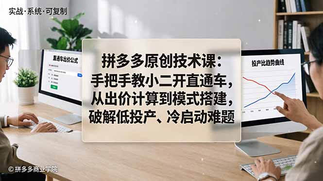 拼多多原创技术课：手把手教小二开直通车，从出价计算到模式搭建，破解低投产、冷启动难题-小言网创资源站