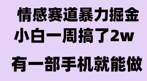 情感暴力掘金项目，新人操作一周挣了2W，长期稳定小白可做【揭秘】-小言网创资源站