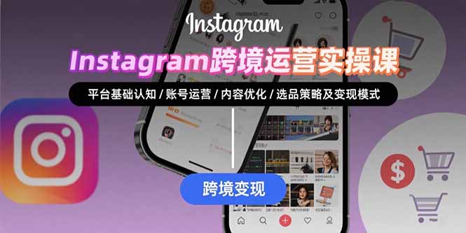 Instagram跨境运营实战：平台认知/账号运营/内容优化/选品策略及变现模式-小言网创资源站