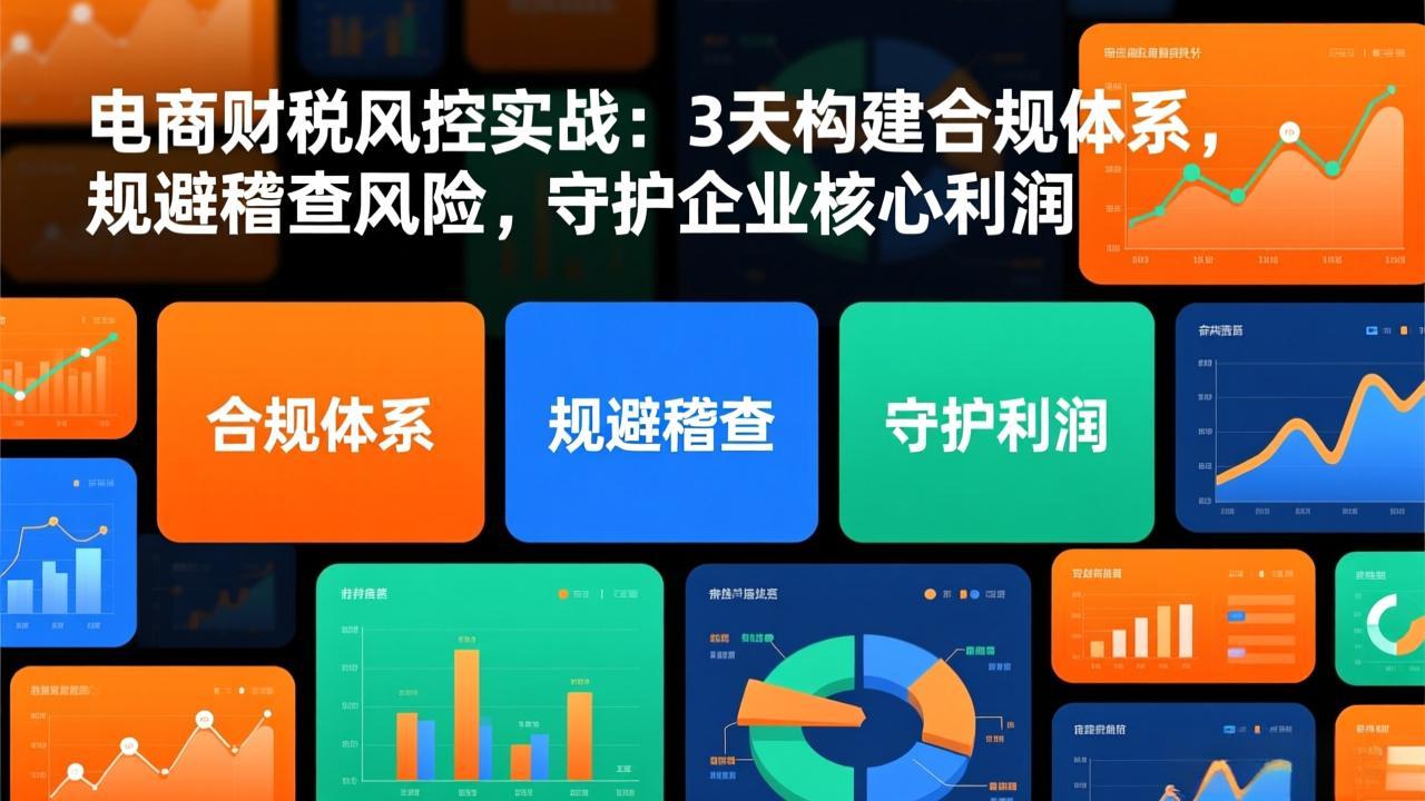 电商财税风控实战：3天构建合规体系，规避稽查风险，守护企业核心利润-小言网创资源站