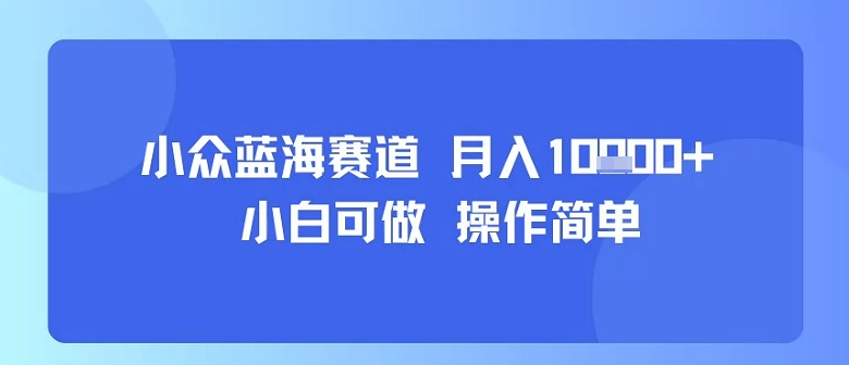 小众蓝海赛道，小白可做，操作简单，每天30分钟，月入1W+-小言网创资源站