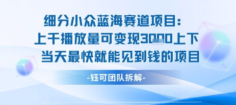 小众蓝海赛道项目：当天变现1k+适合新手操作 +适合长期玩-小言网创资源站