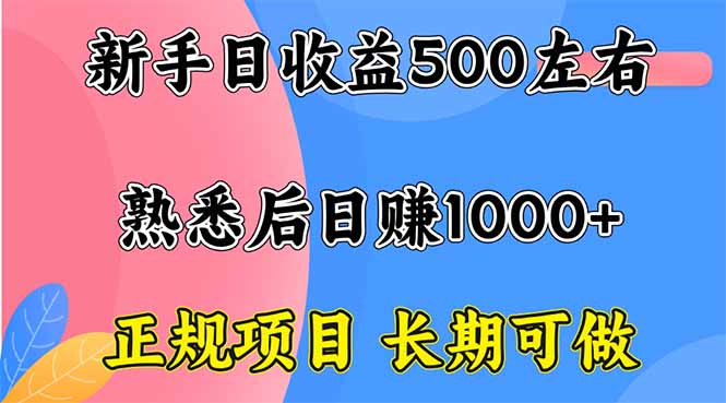 新手日收益500+ 正规项目 长期可做-小言网创资源站