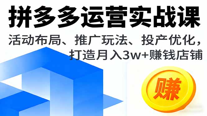 拼多多运营实战课，活动布局、推广玩法、投产优化，打造月入3w+赚钱店铺-小言网创资源站