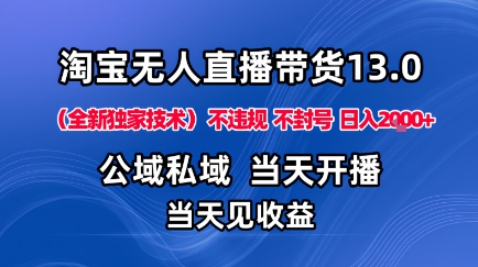 淘宝无人直播13.0，公域私域技术，不封号，不违规布局下半年旺季赛道，日入1K+(独家技术)【揭秘】-小言网创资源站