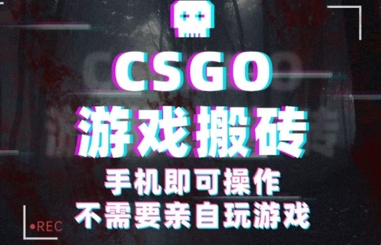 CSGO游戏挂G捡漏，单日扫货5张+，年底小高峰上车可吃肉，手机即可操作，兼职副业创业网创【揭秘】-小言网创资源站