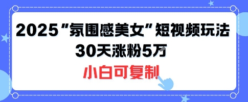不露脸也能火！2025“氛围感美女”短视频玩法，30天涨粉5W小白可复制-小言网创资源站