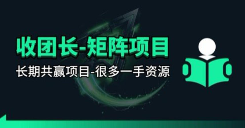 【团长合作】视频矩阵项目_招发手矩阵+剪辑师，共赢项目【揭秘】-小言网创资源站